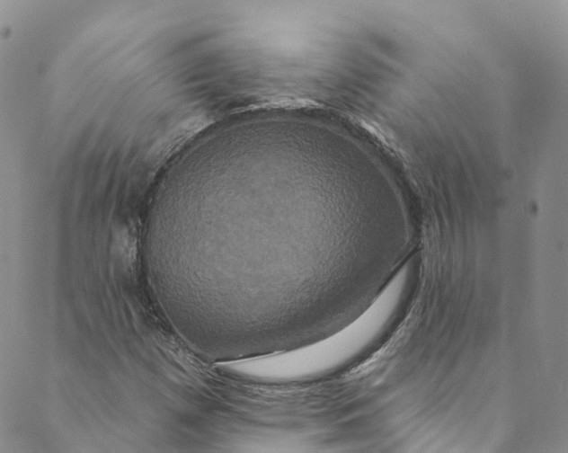 X0000088471257200706121520