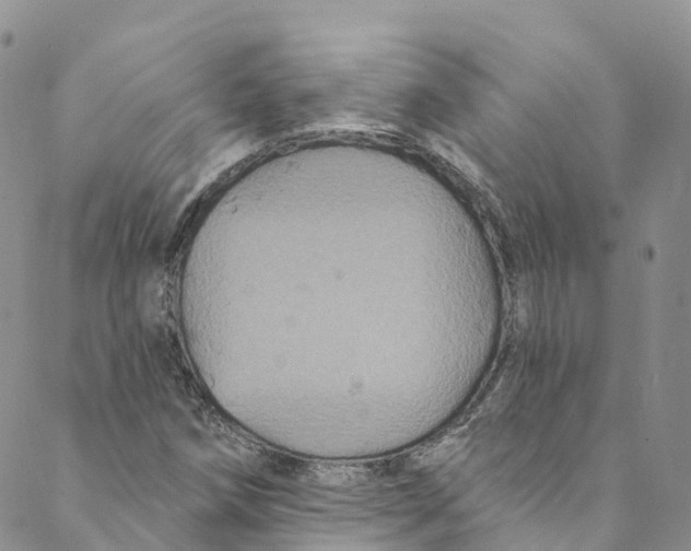 X0000088471258200706121520