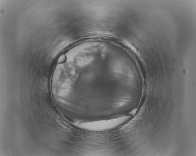 X0000088471259200706121520