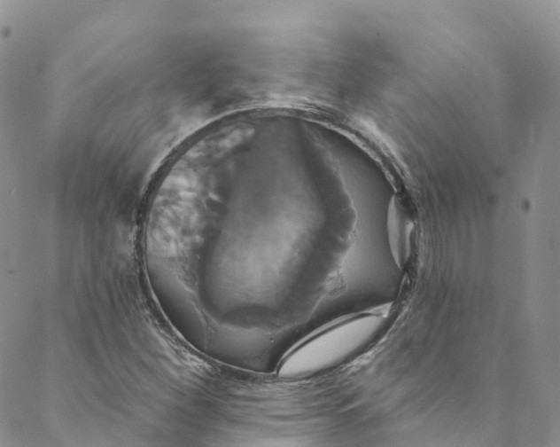 X0000088471260200706121520