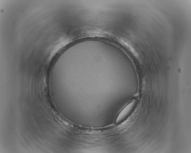 X0000088471261200706121520