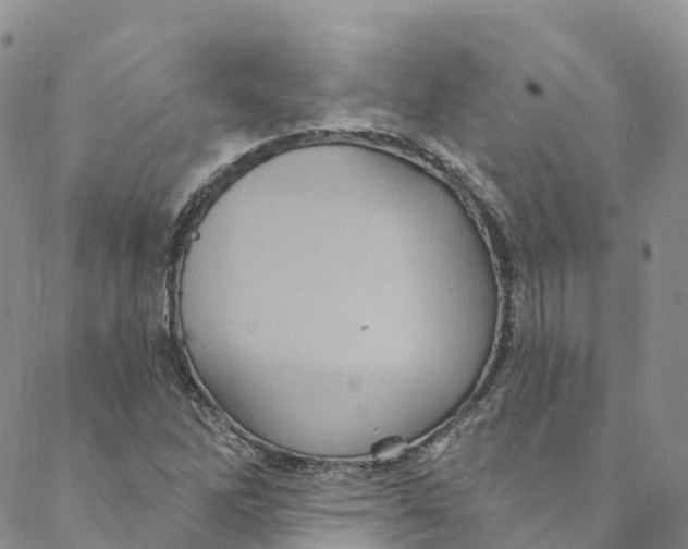 X0000088471262200706121520