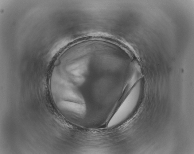 X0000088471263200706121520