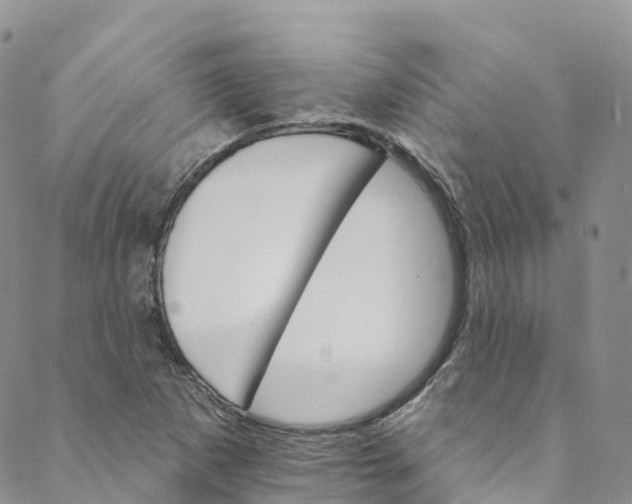 X0000088471265200706121520