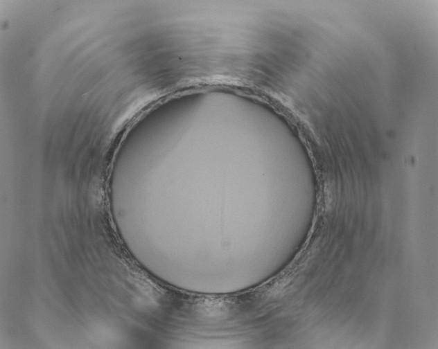 X0000088471266200706121520