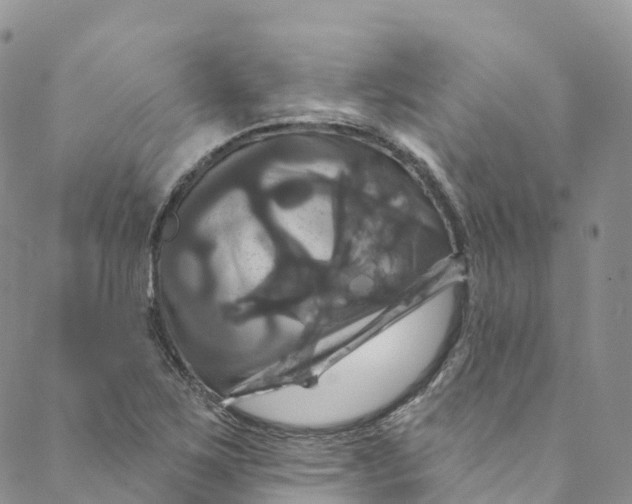 X0000088471267200706121520