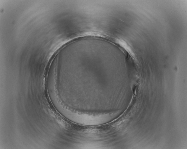 X0000088471268200706121520