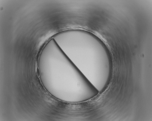 X0000088471269200706121520