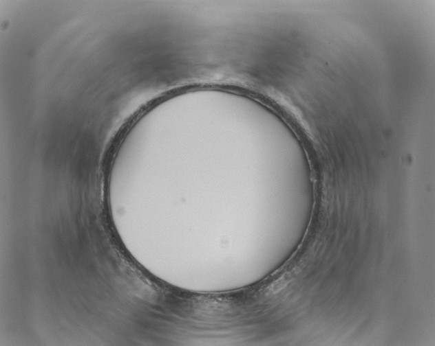 X0000088471270200706121520