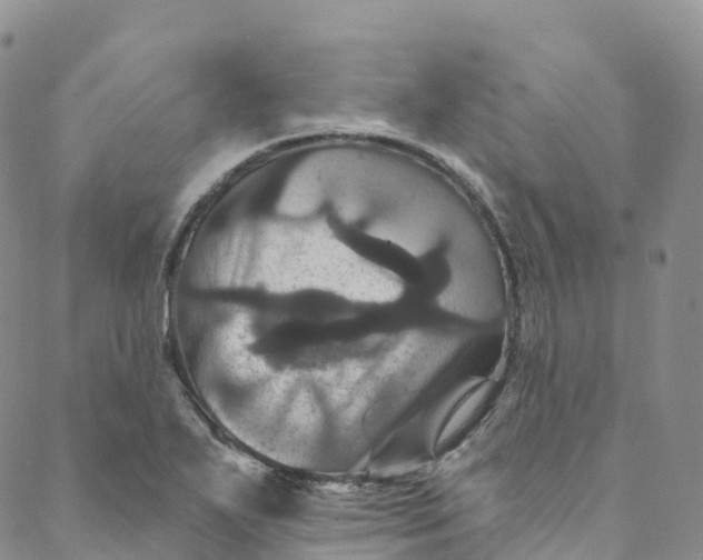 X0000088471271200706121520