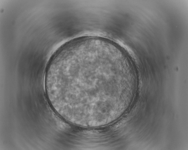 X0000088471272200706121520