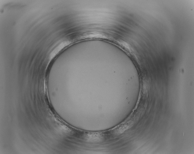 X0000088471274200706121520