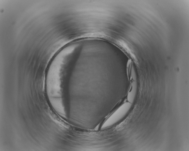 X0000088471276200706121520