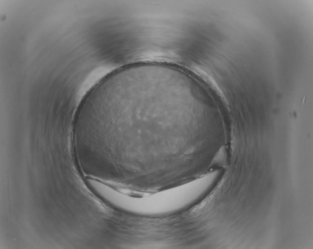 X0000088471277200706121520