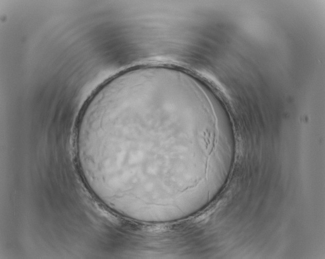 X0000088471278200706121520