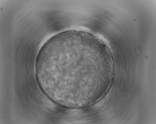 X0000088471280200706121520