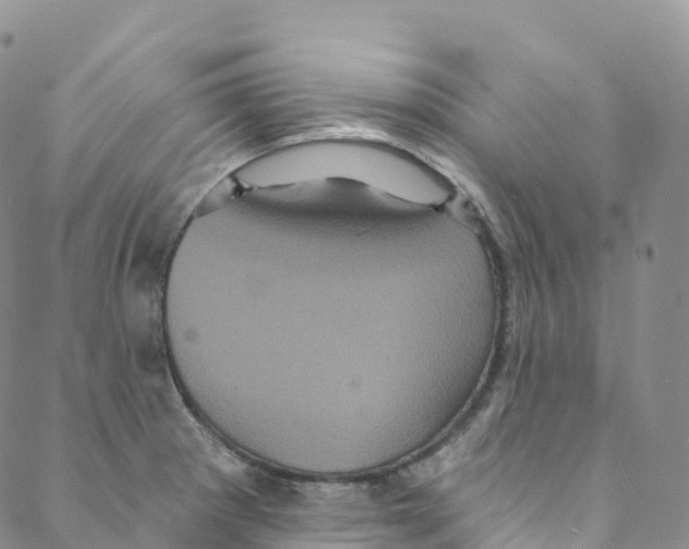 X0000088471281200706121520