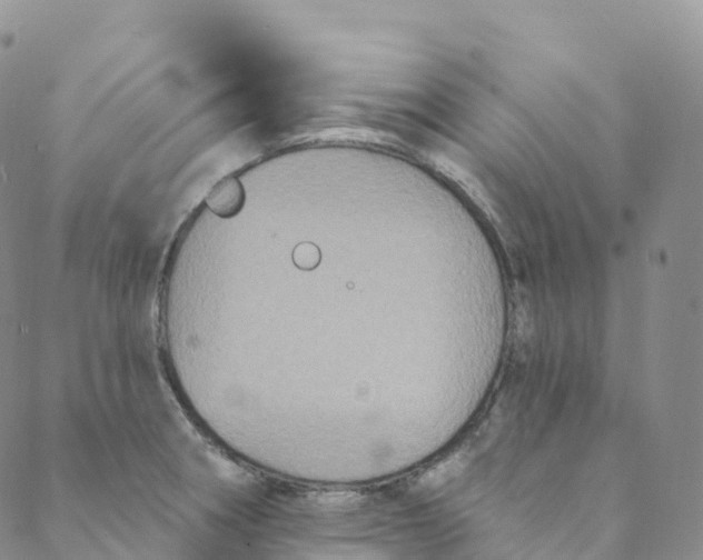 X0000088471282200706121520