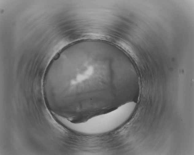 X0000088471283200706121520