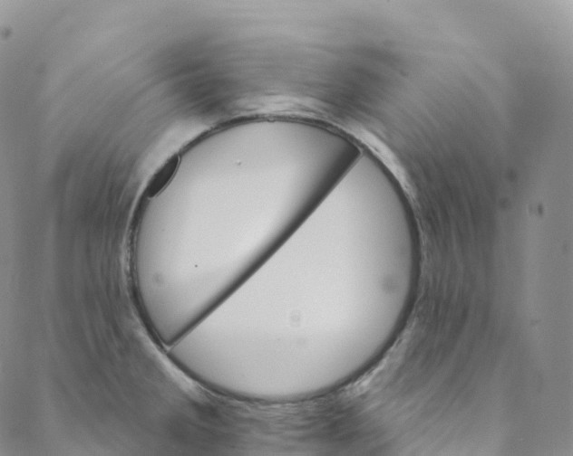 X0000088471285200706121520