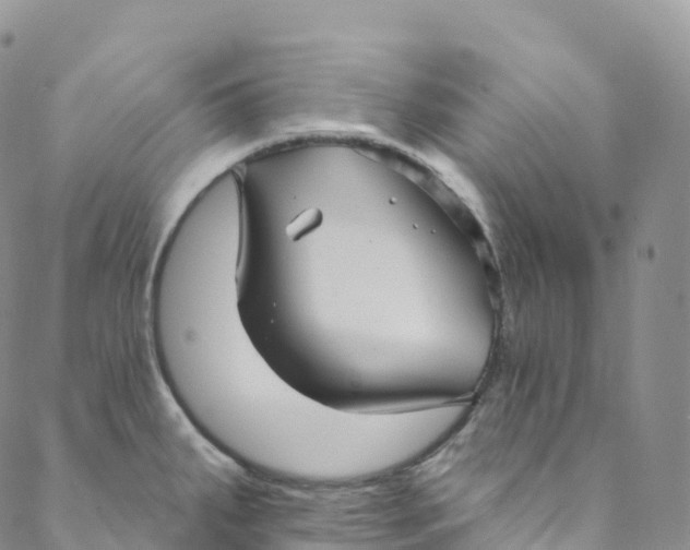 X0000088471287200706121520