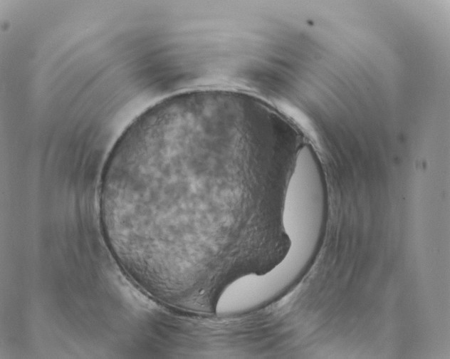 X0000088471288200706121520