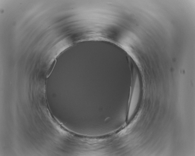 X0000088471289200706121520