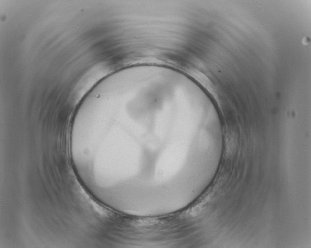 X0000088471290200706121520