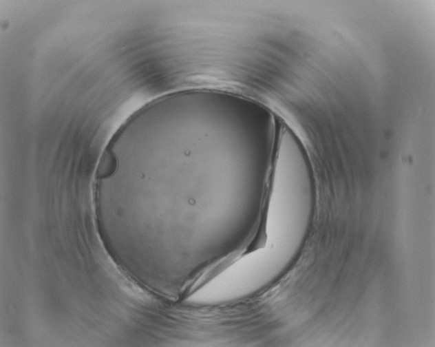 X0000088471291200706121520