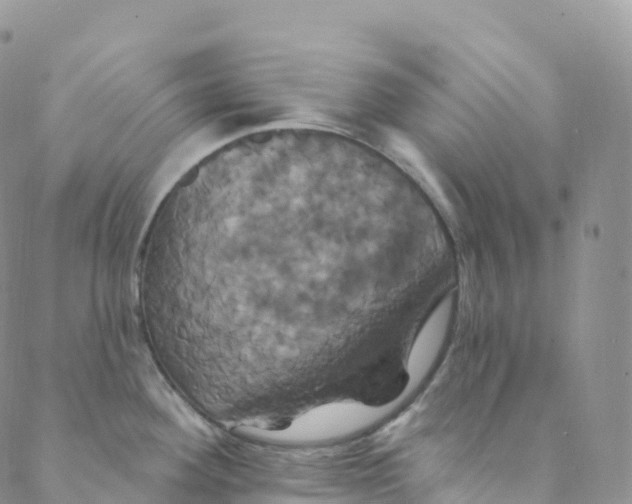 X0000088471292200706121520