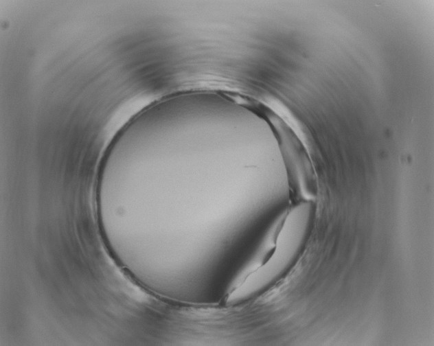 X0000088471293200706121520