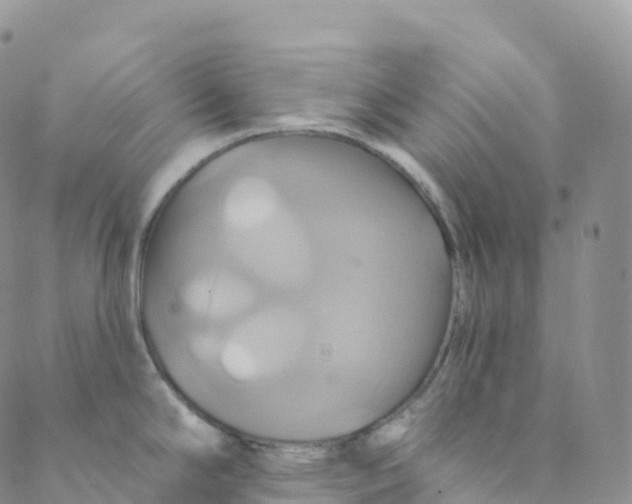 X0000088471294200706121520