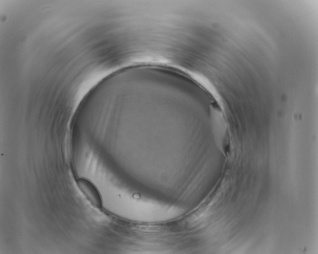 X0000088471295200706121520