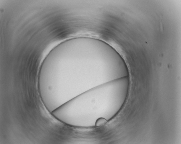 X0000088471296200706121520