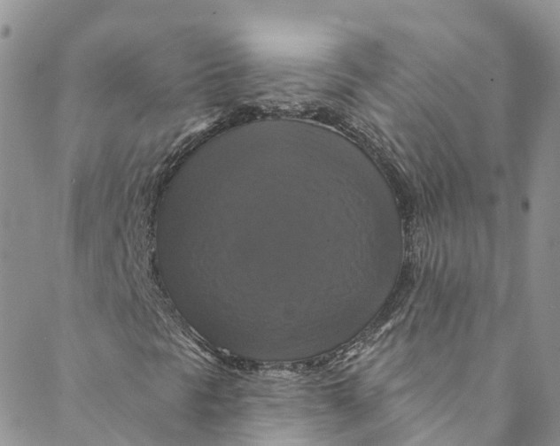 X0000088471297200706121519