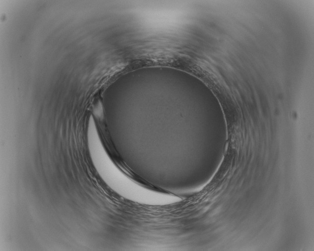 X0000088471298200706121519