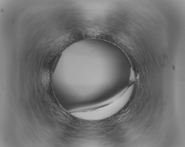 X0000088471299200706121519