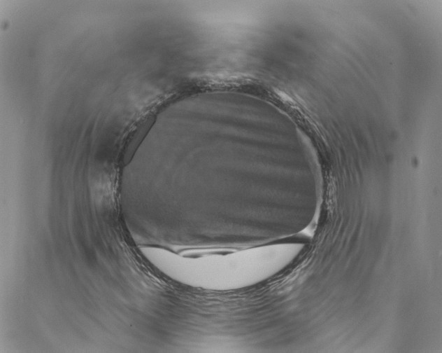 X0000088471300200706121519