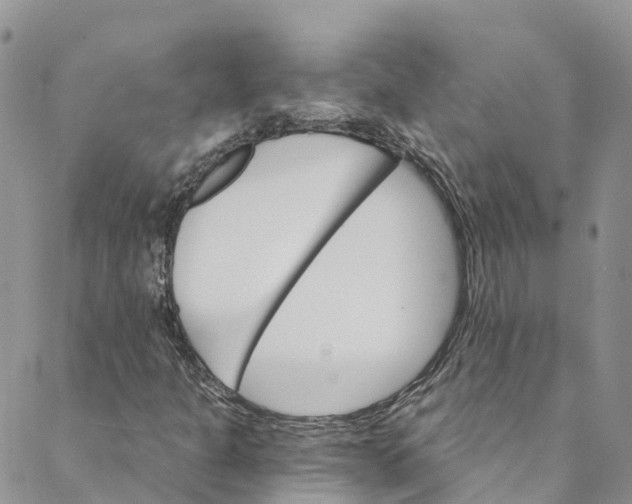 X0000088471301200706121519