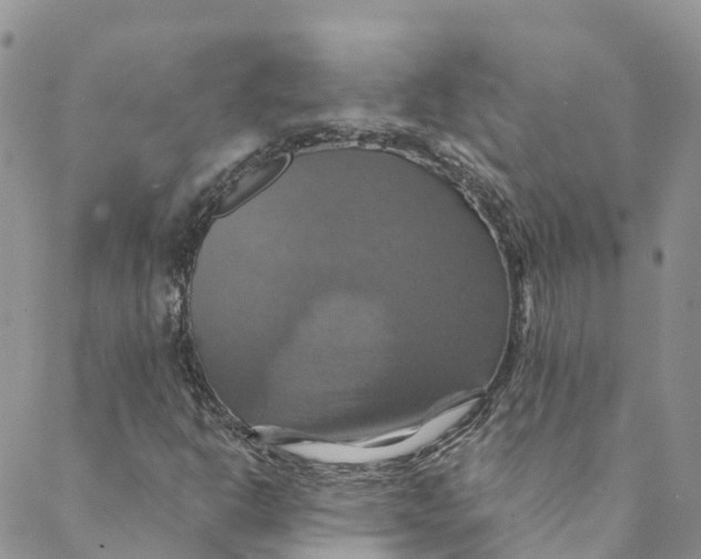 X0000088471302200706121519