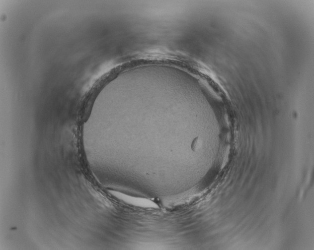 X0000088471304200706121519