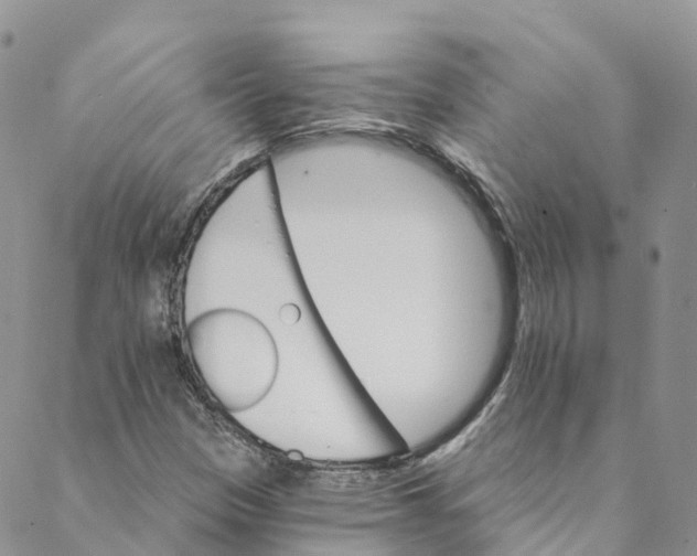 X0000088471305200706121519