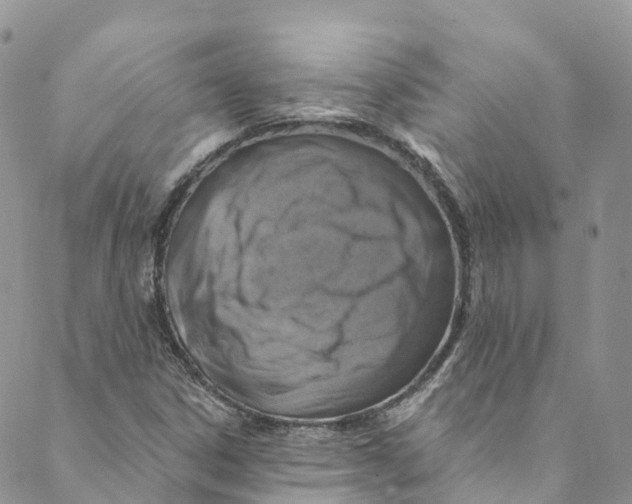 X0000088471306200706121519