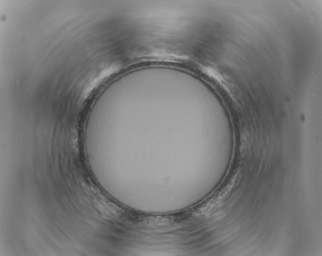 X0000088471307200706121519