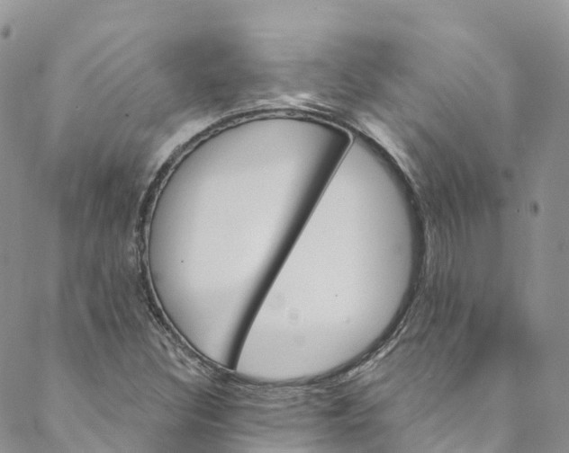 X0000088471308200706121519