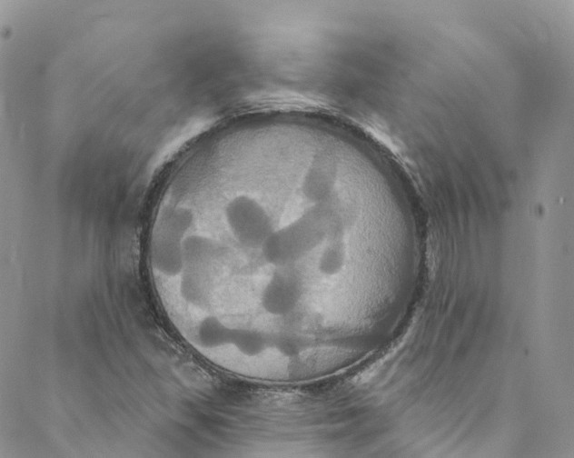 X0000088471309200706121519