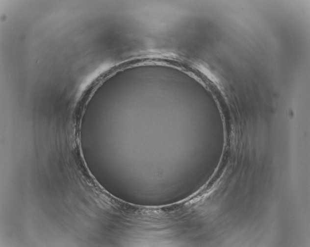 X0000088471310200706121519