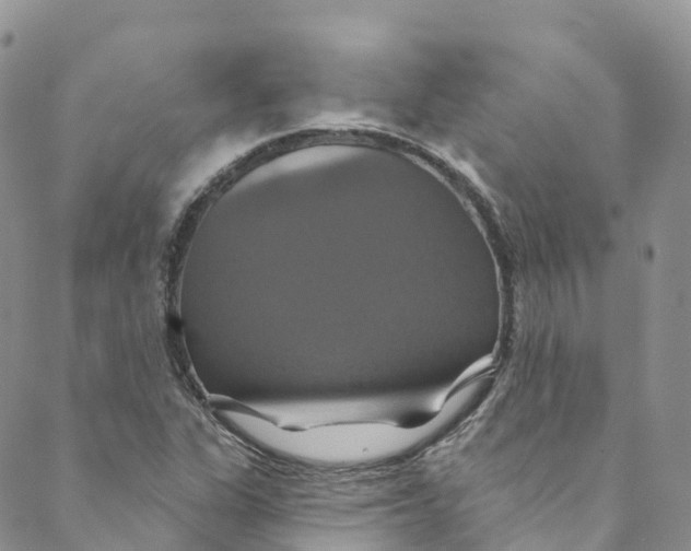 X0000088471311200706121519