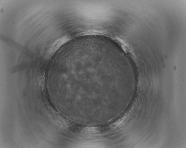 X0000088471313200706121519