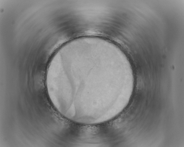 X0000088471314200706121519